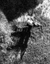 blick_von_der_stefaniewarte claus marius petersen  