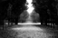 parklandschaft claus marius petersen  
